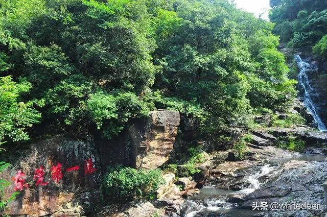 东莞的观音山国家森林公园怎么样？