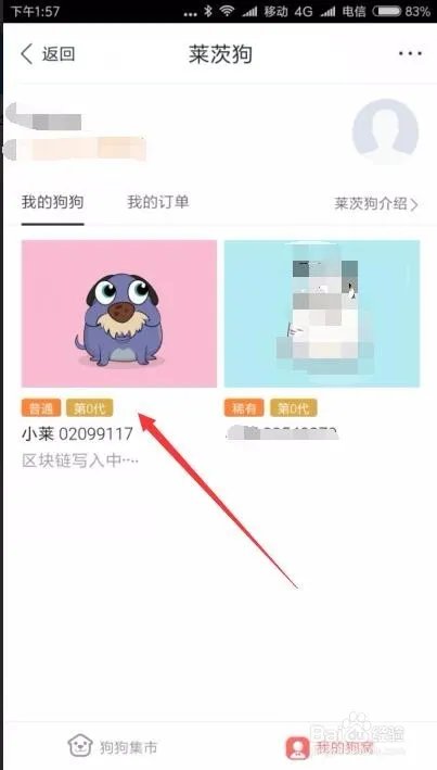 百度钱包怎么领养莱茨狗