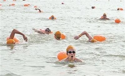 浙江游泳队为什么那么厉害？