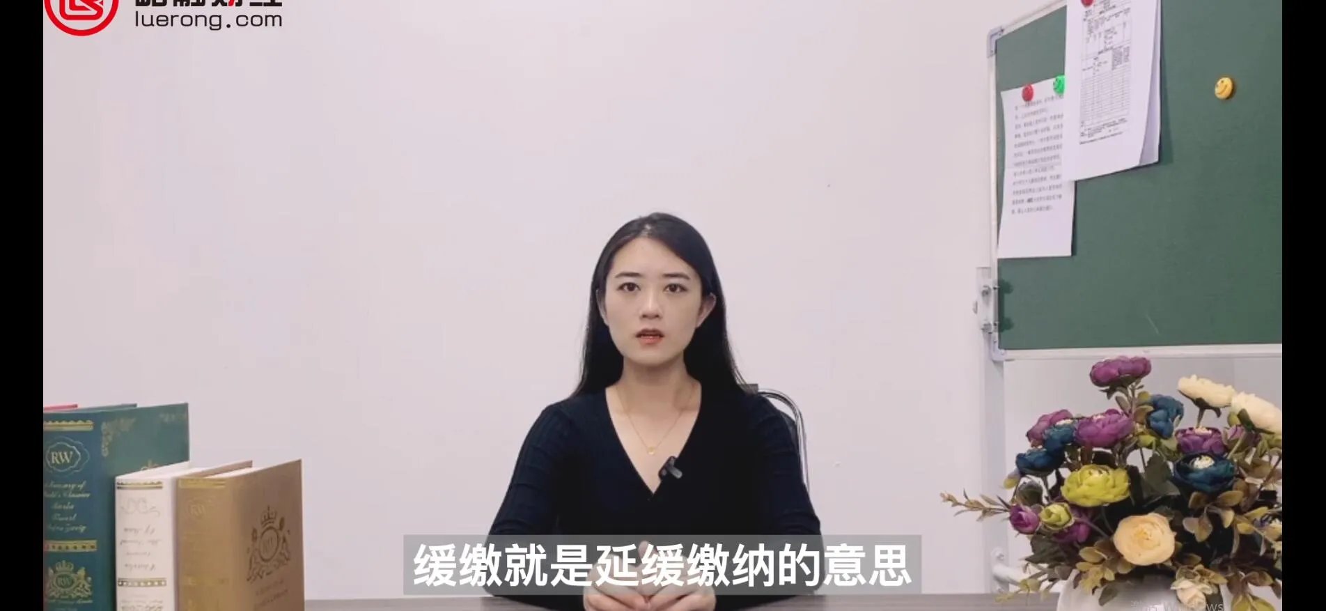 缓缴是什么意思