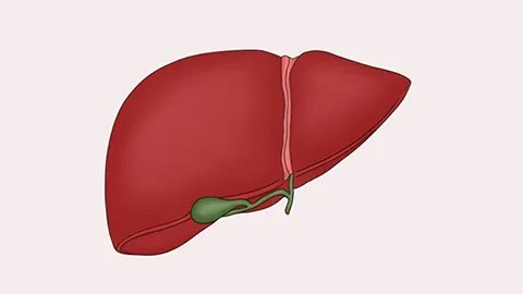 乙肝大三阳怀孕了对胎儿有影响吗