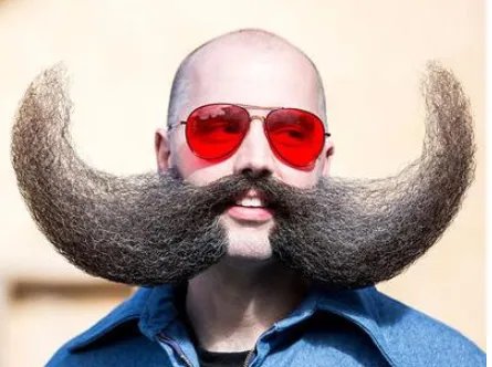 胡子像什么比喻句？