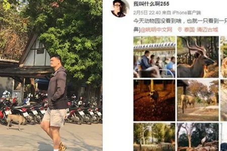 姚明携妻女游泰国打扮低调  一家三口湖中划船很是温馨