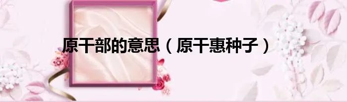 原干部的意思（原干惠种子）