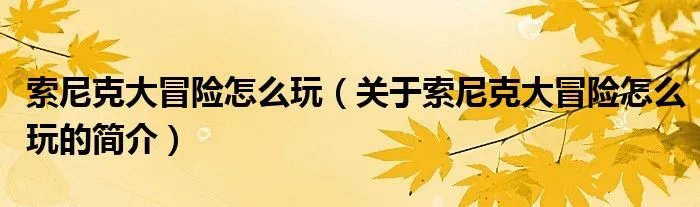 索尼克大冒险怎么玩（关于索尼克大冒险怎么玩的简介）