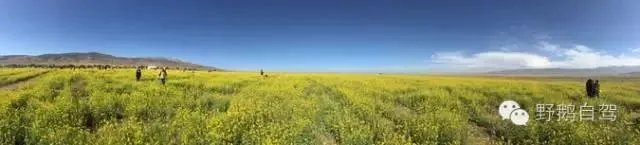 第一次弄自驾游路书，怎么制作自驾游路书啊？