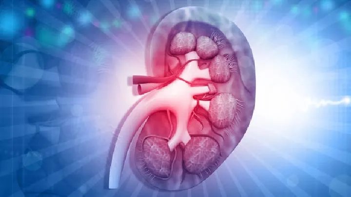 女性肾虚的症状有哪些表现呢?