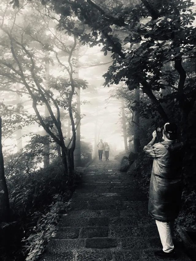 什么是单色照片作品?