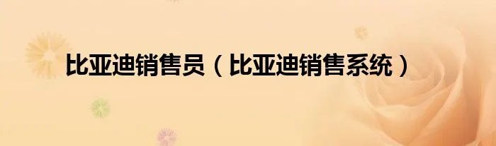 比亚迪销售员（比亚迪销售系统）