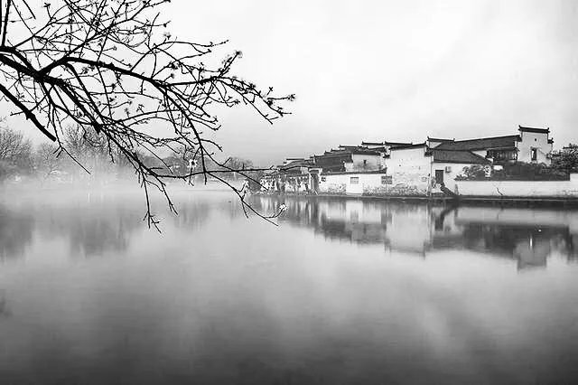 什么是单色照片作品?