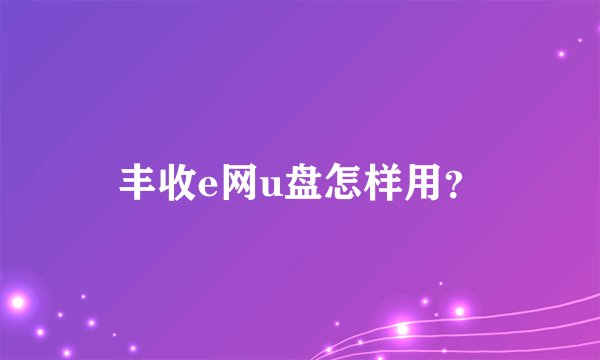 丰收e网u盘怎样用？