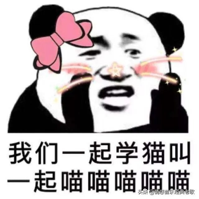 如何评价《学猫叫》这首歌?歌词有哪些含义?