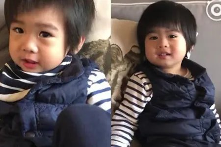 林志颖儿子背诗 这样改真的好吗