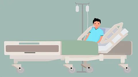 高丽参和红参的区别