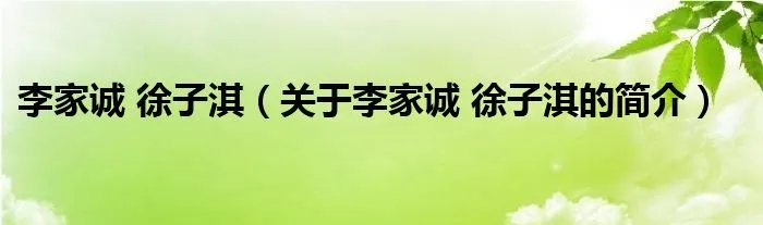 李家诚 徐子淇（关于李家诚 徐子淇的简介）