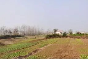  井田制是怎么彻底瓦解的？标志是什么？