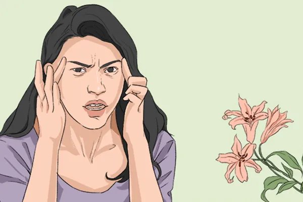 高丽参的副作用