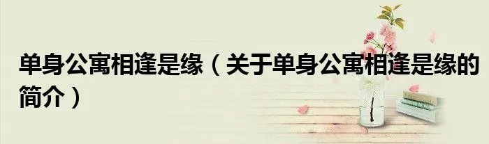 单身公寓相逢是缘（关于单身公寓相逢是缘的简介）