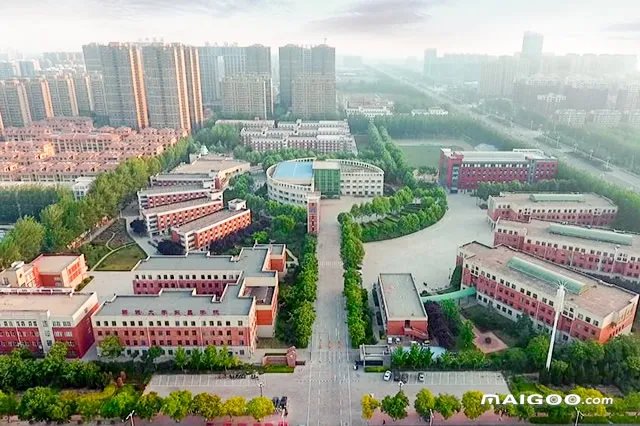 聊城有哪些大学 聊城市大学排名 聊城大学名单一览【大学名录】