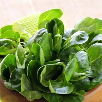 雅培的奶粉怎么样——教你鉴别真伪