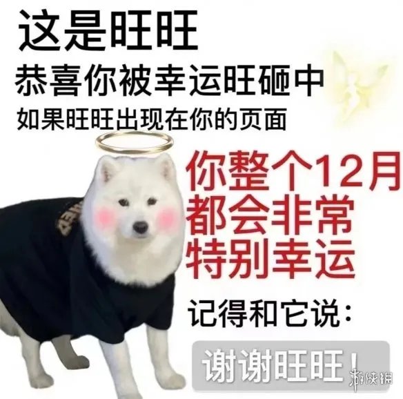 这是旺旺表情包 这是旺旺表情包分享大全