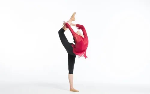 【娱乐明星】女明星_男明星_歌手_影视明星_演员_体育明星_追星