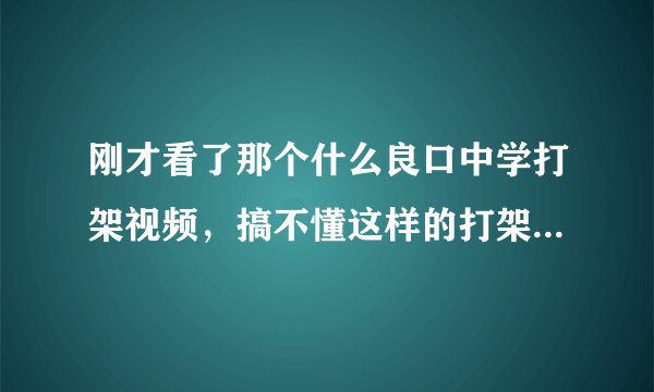 刚才看了那个什么良口中学打架视频，搞不懂这样的打架为什么还有那么多人看？