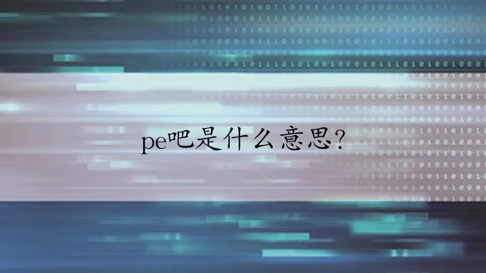 pe吧是什么意思？