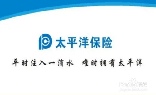 6大中国人寿保险排行榜