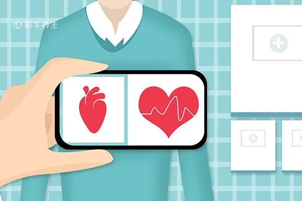 香榧坚果的功效与作用