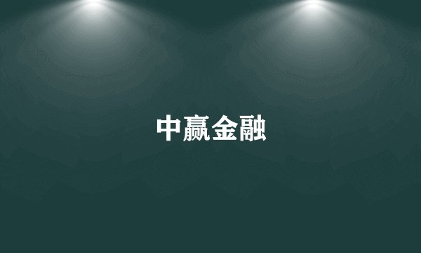 中赢金融