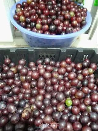 自酿葡萄酒 自制红酒