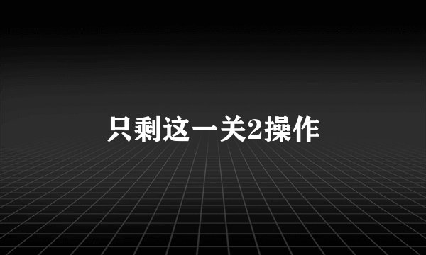 只剩这一关2操作