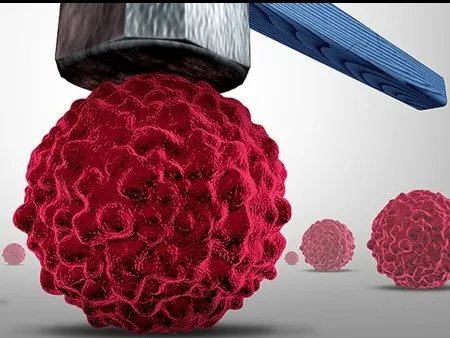 江苏省新增本土确诊39例！其中南京报告38例！