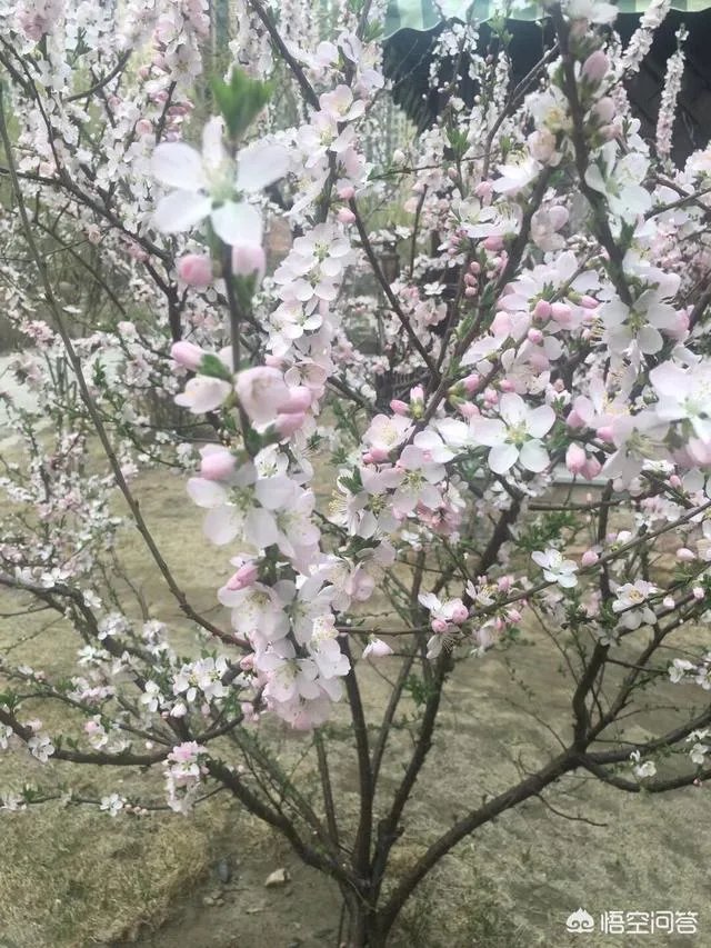 面试国企注意事项