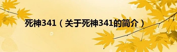 死神341（关于死神341的简介）