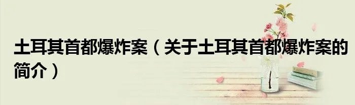 土耳其首都爆炸案（关于土耳其首都爆炸案的简介）