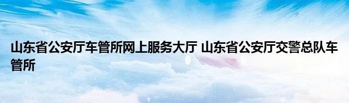 山东省公安厅车管所网上服务大厅 山东省公安厅交警总队车管所