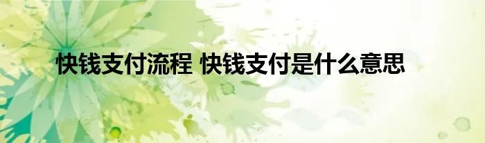 快钱支付流程 快钱支付是什么意思