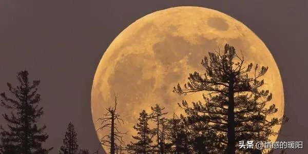 3月10日的“超级月亮”，你看到了吗？觉得如何？