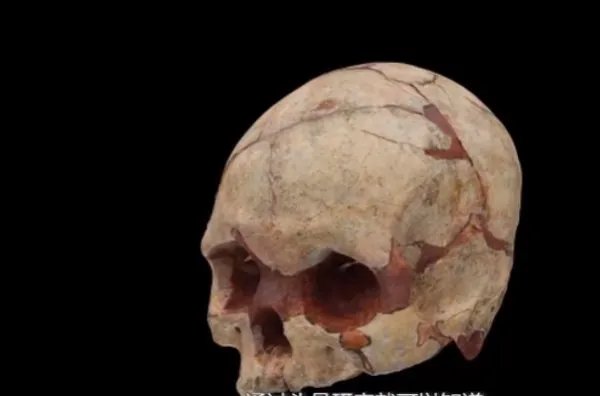 广西发现16000年前的人头骨化石,这次的发现意味着什么?