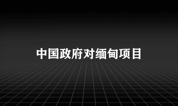 中国政府对缅甸项目