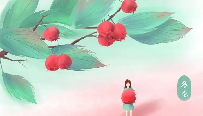 冬至是冬天的结束还是开始 冬至是冬天过完的意思吗