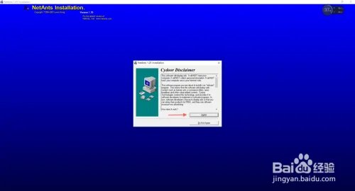 网络蚂蚁怎么用