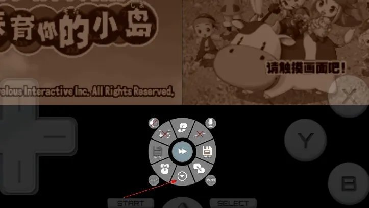 谁能教我一下DraStic激烈NDS模拟器怎么用金手指啊,是android版的