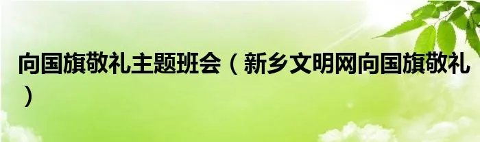 向国旗敬礼主题班会（新乡文明网向国旗敬礼）