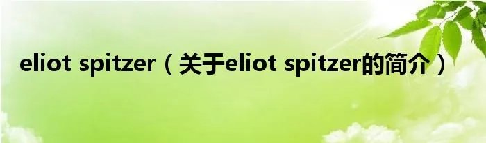 eliot spitzer（关于eliot spitzer的简介）
