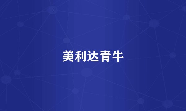 美利达青牛