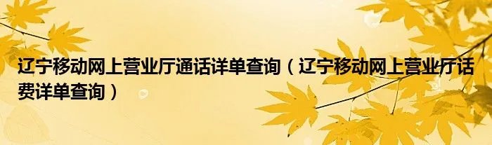 辽宁移动网上营业厅通话详单查询（辽宁移动网上营业厅话费详单查询）