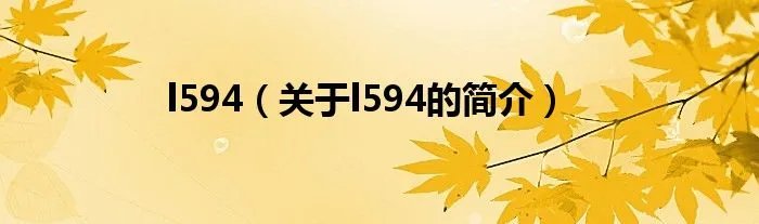 l594（关于l594的简介）